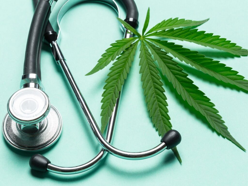 /consulta-medica-cannabis /laudo-agronomico-cannabis-medicinal /juridico-hc-cannabis /pacote-completo